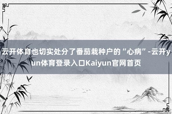云开体育也切实处分了番茄栽种户的“心病”-云开yun体育登录入口Kaiyun官网首页