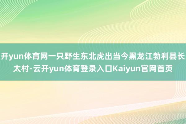 开yun体育网一只野生东北虎出当今黑龙江勃利县长太村-云开yun体育登录入口Kaiyun官网首页