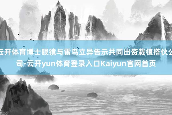 云开体育博士眼镜与雷鸟立异告示共同出资栽植搭伙公司-云开yun体育登录入口Kaiyun官网首页