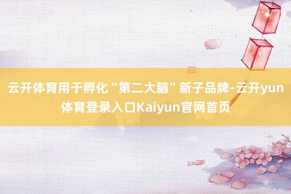 云开体育用于孵化“第二大脑”新子品牌-云开yun体育登录入口Kaiyun官网首页